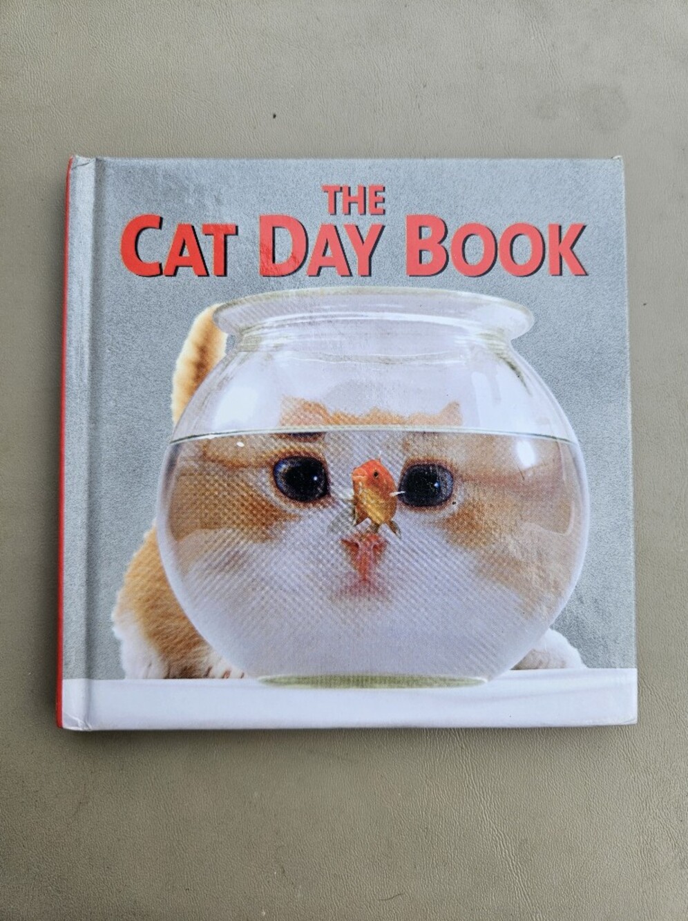 Cat Day Book - Cute Cat Cover in Orange and White
